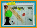 DSC01722-2.jpg