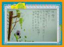 DSC01723-2.jpg