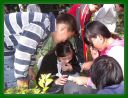 IMGP3216.JPG