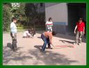 IMGP3219.JPG