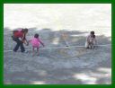 IMGP3231.JPG