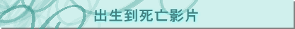 Xͨ즺`v