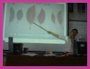 DSC01520.jpg