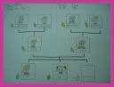 DSC01593.jpg