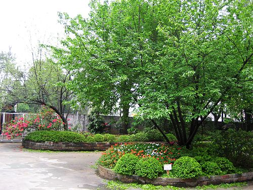 B3-87.jpg