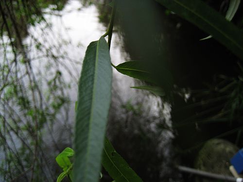 d14-8.jpg