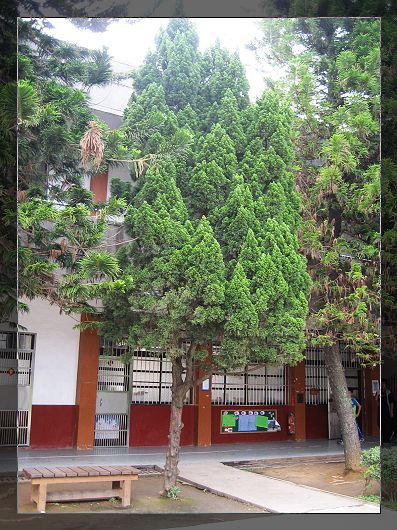 d25-2.jpg