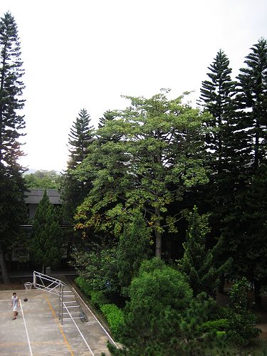 d5-3.jpg