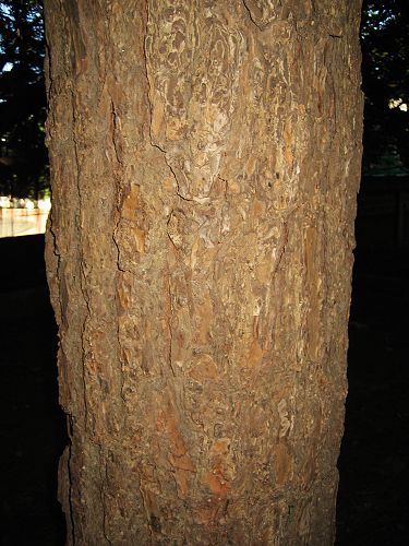 E14-7.jpg