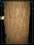 E14-7.jpg