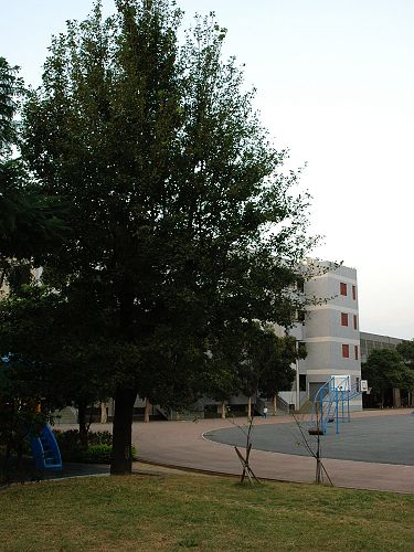 f10-3.jpg