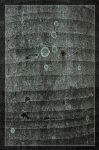 f2-14.jpg