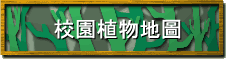 նӪa
