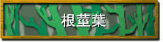 ڲ