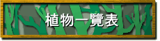 Ӫ@