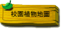 նӪa