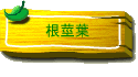 ڲ