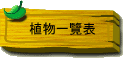 Ӫ@